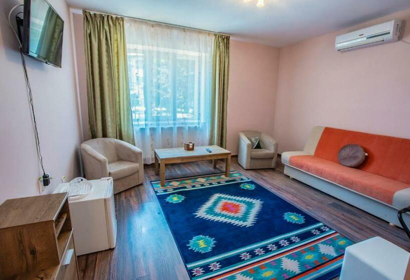 低层单卧公寓, Conacul Domnesc