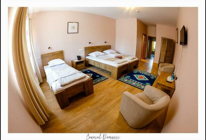 豪华房间, Conacul Domnesc