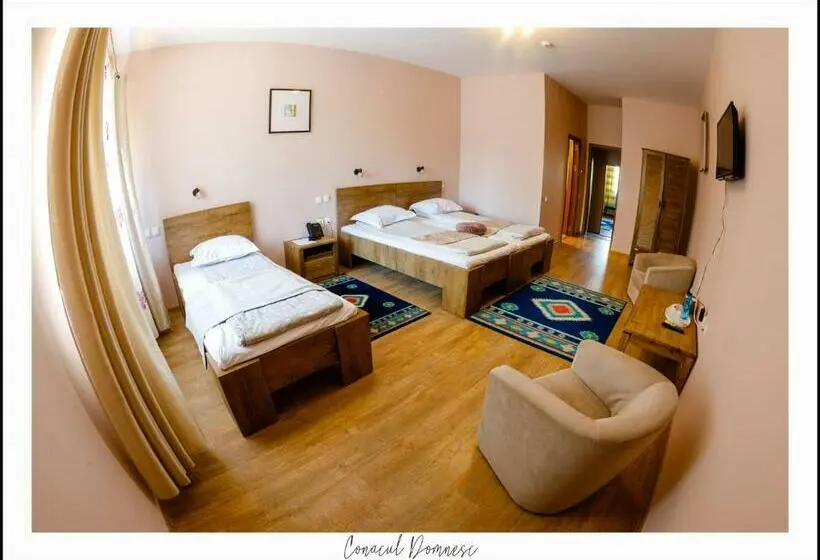Standard Triple Room, Conacul Domnesc