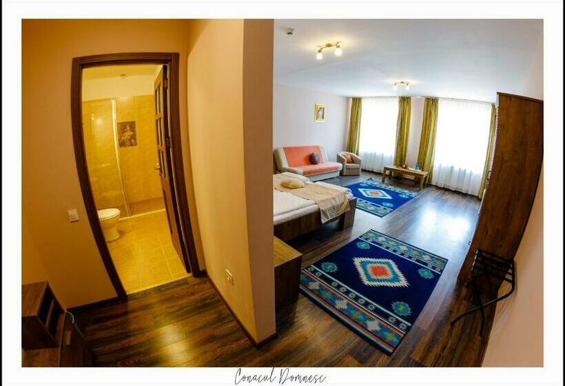 豪华房间, Conacul Domnesc