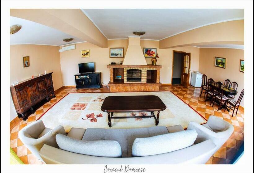 带1个卧室的豪华公寓, Conacul Domnesc