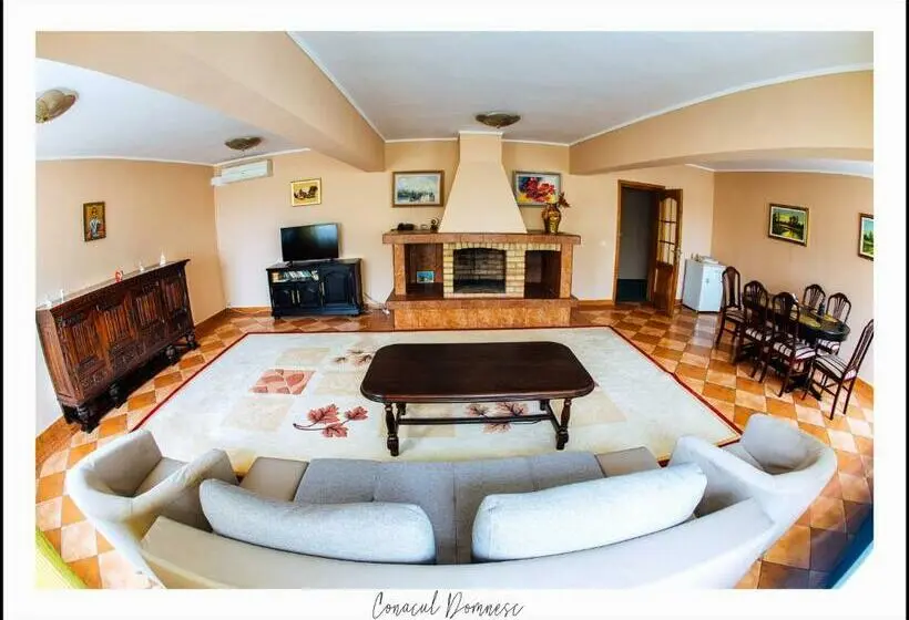 1 Bedroom Deluxe Apartment, Conacul Domnesc