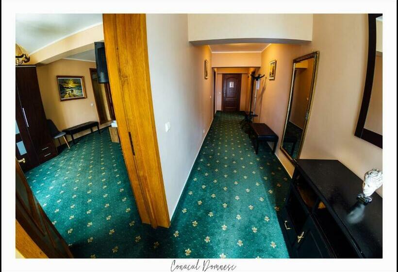 带1个卧室的豪华公寓, Conacul Domnesc