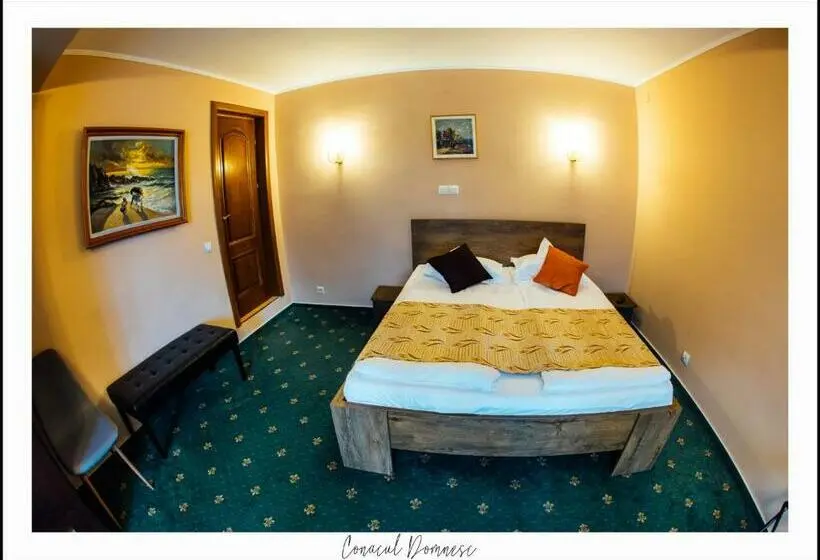 1 Bedroom Deluxe Apartment, Conacul Domnesc