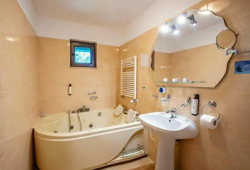 1 Bedroom Deluxe Apartment, Conacul Domnesc