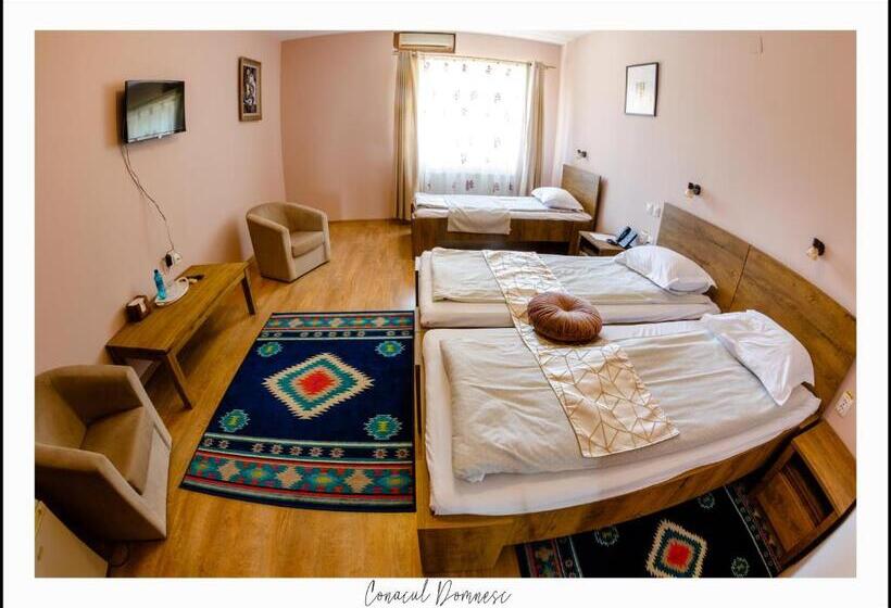 标准三人间, Conacul Domnesc