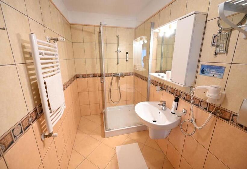 标准三人间, Conacul Domnesc