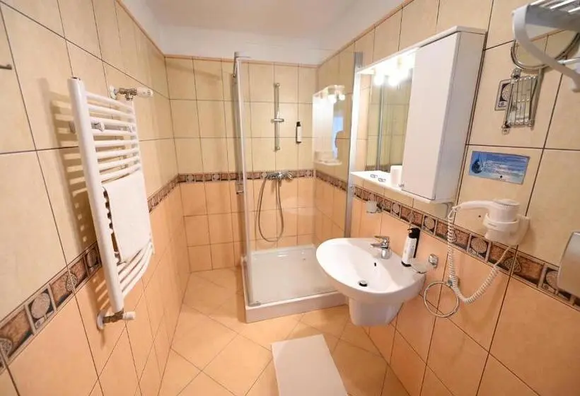 Standard Triple Room, Conacul Domnesc