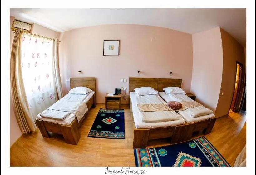 Standard Triple Room, Conacul Domnesc