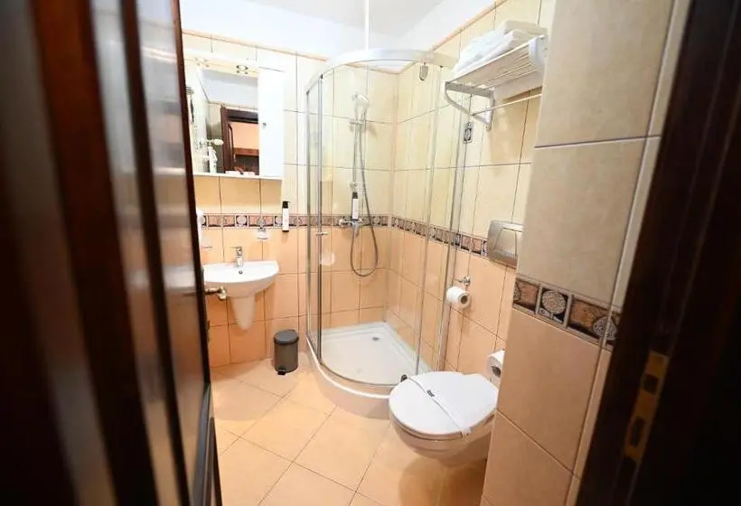 Standard Room, Conacul Domnesc