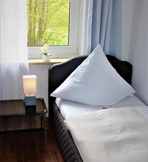 스탠다드 싱글 룸, Berghof Wasserkuppe & Gästehaus Fuldaquelle