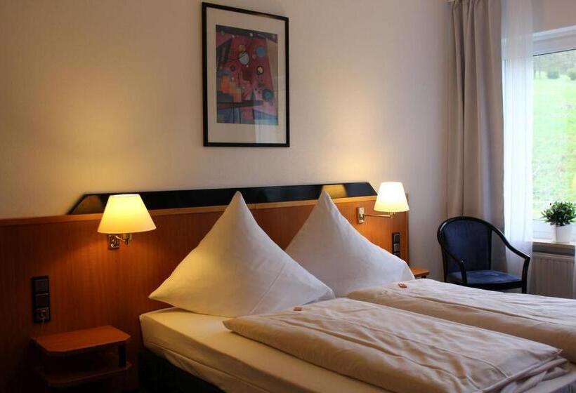 기본룸, Berghof Wasserkuppe & Gästehaus Fuldaquelle