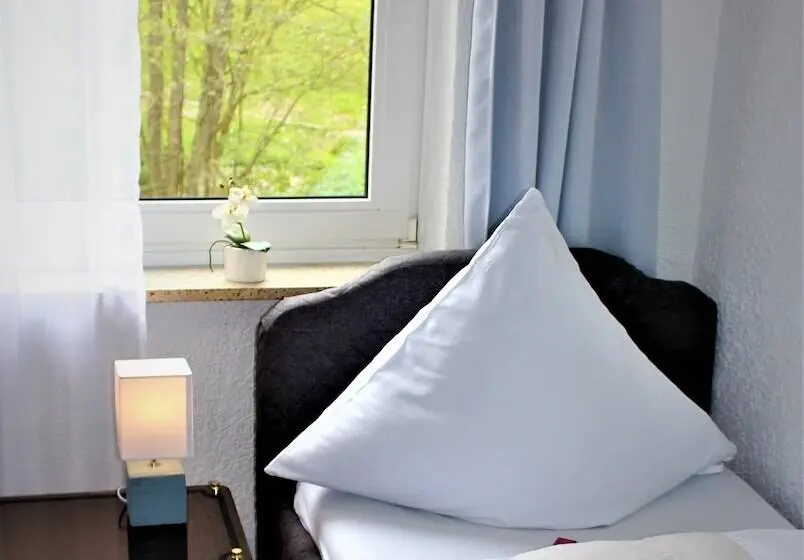 Standard Kolmen Hengen Huone, Berghof Wasserkuppe & Gästehaus Fuldaquelle