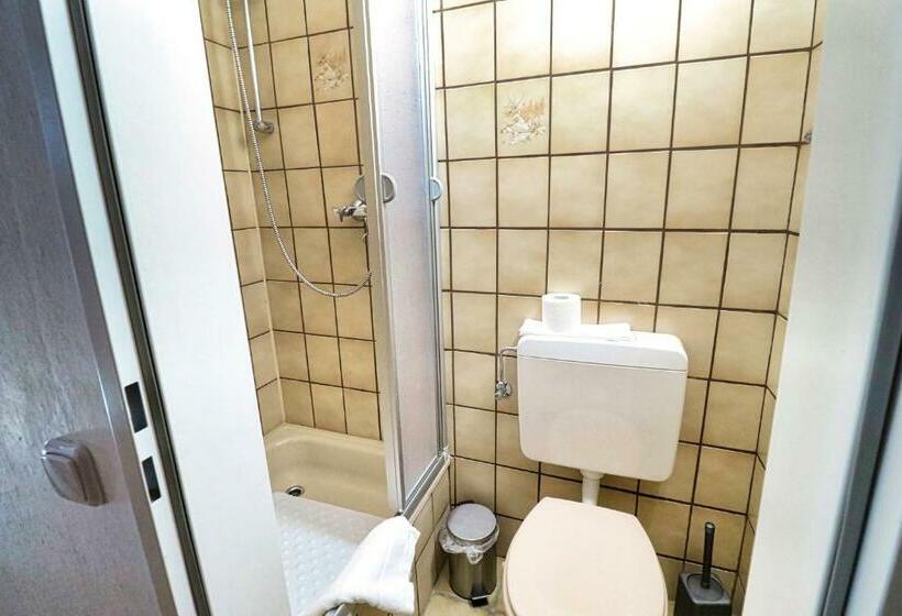 Номер Стандарт, Green Seeblick Hotel Am See