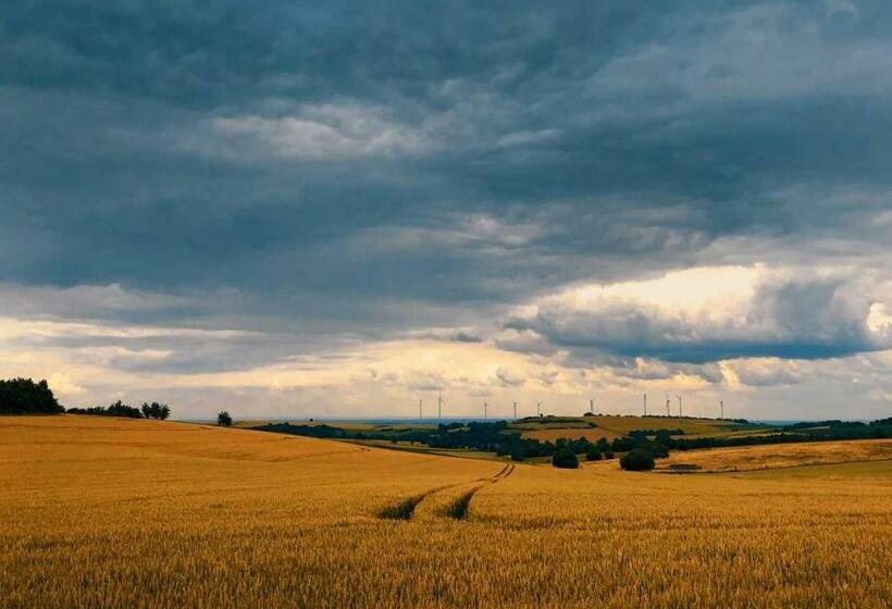 Номер Стандарт, Green Seeblick Hotel Am See