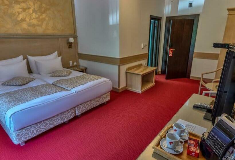 テラス付スーペリアルーム, Lacu Rosu