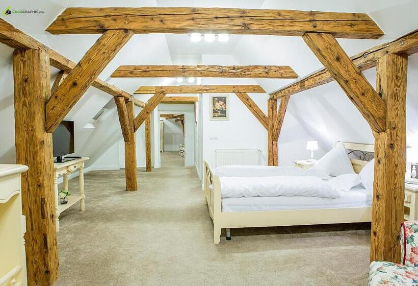 １ベッドルームペントハウスアパート, Palatul Brukenthal Avrig