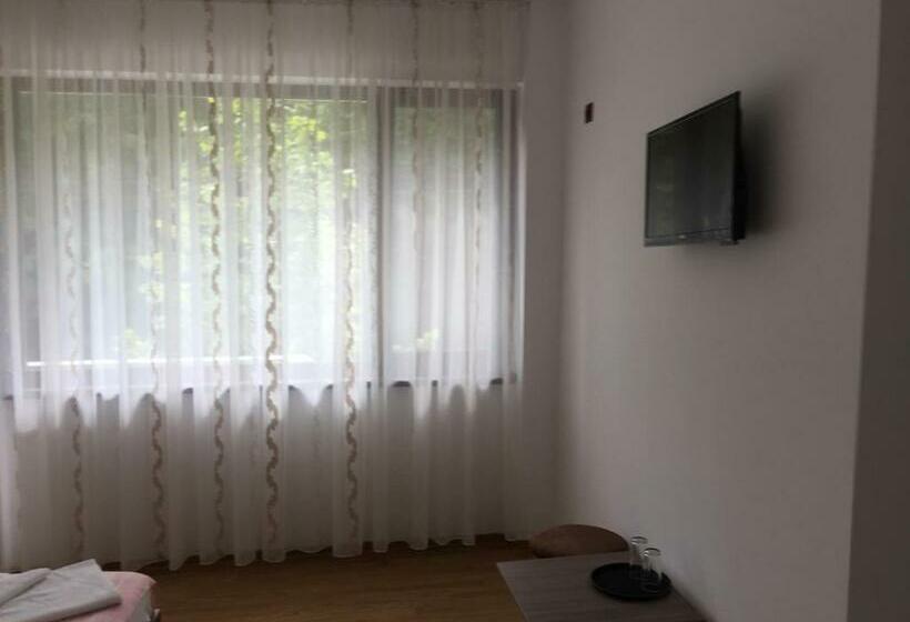 标准间, Paradox Oituz