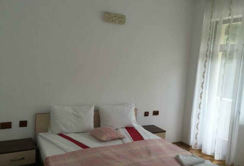 标准间, Paradox Oituz