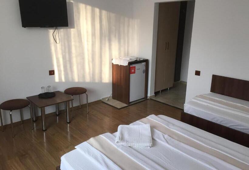 标准三人间, Paradox Oituz