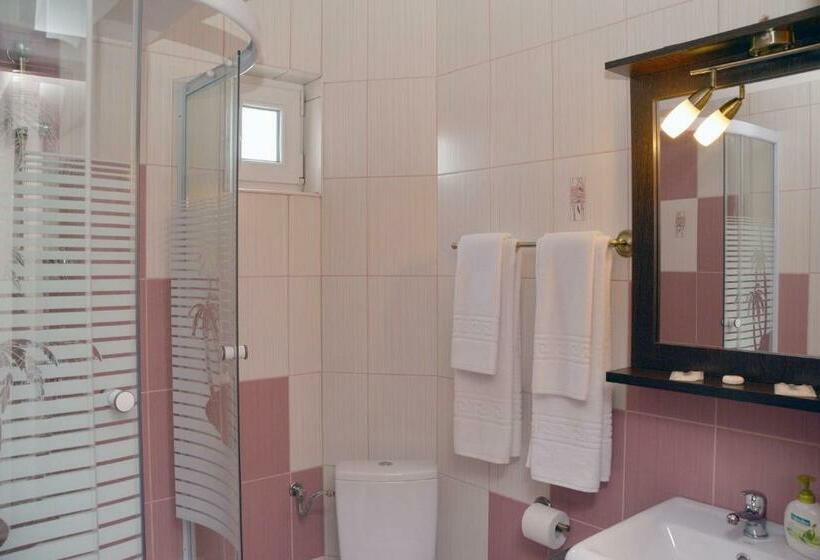 اتاق استاندارد, President