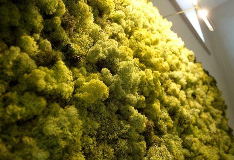 חדר סטנדרט, Relax Craiova