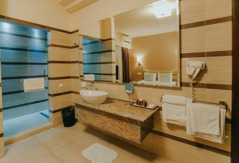 スタンダードルーム, Romanita