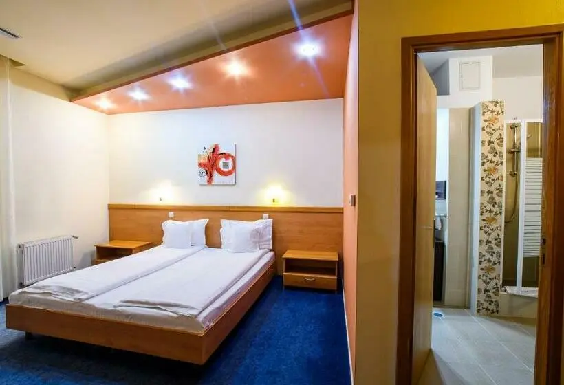 Quarto Estandar Cama King, Torontal