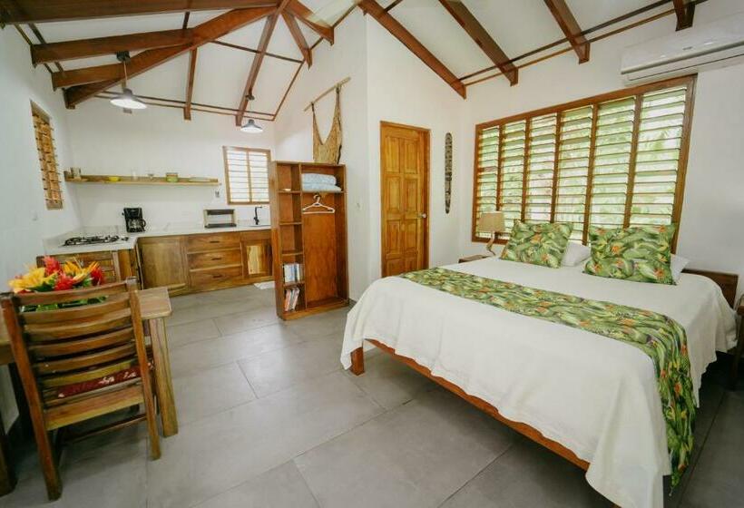 标准平房, Dreamy Contentment