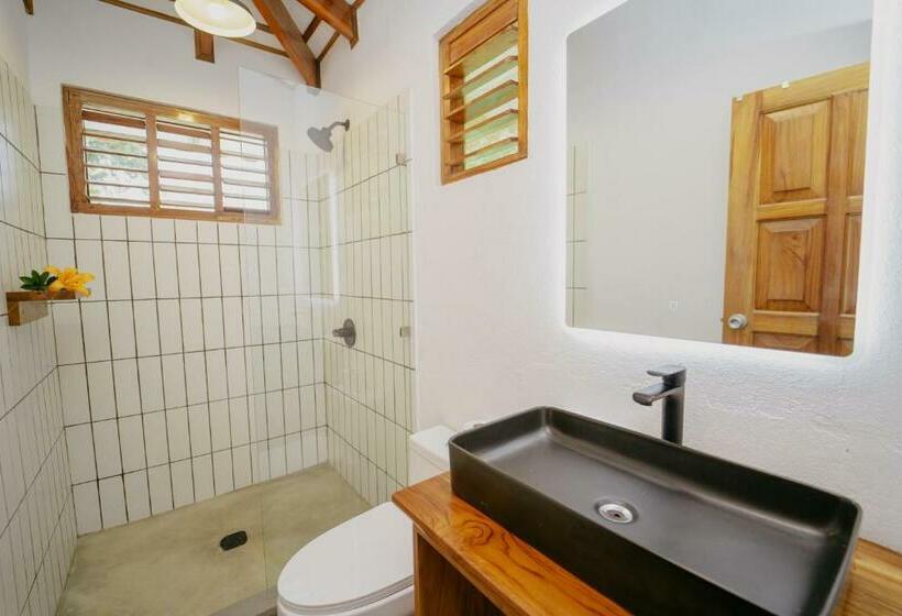 标准平房, Dreamy Contentment