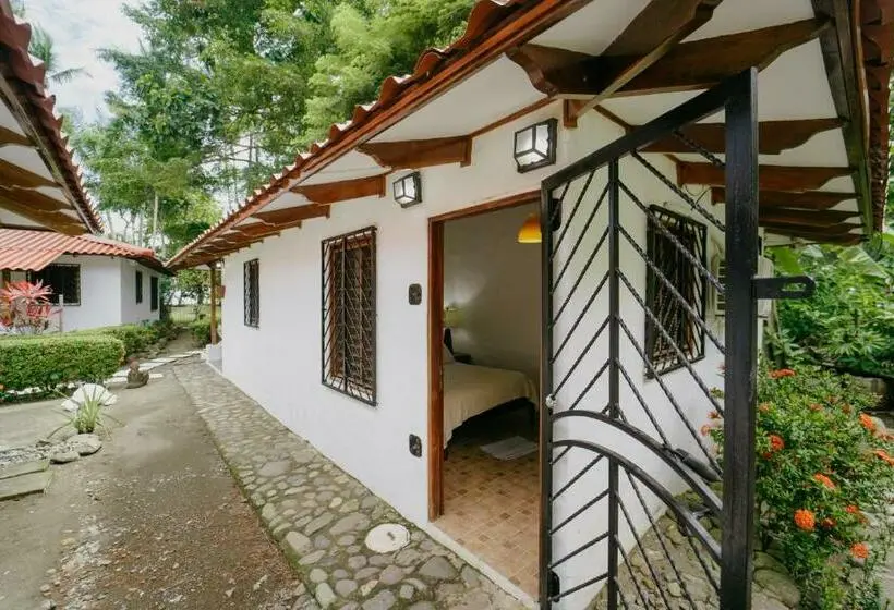 Economy-huone, Dreamy Contentment