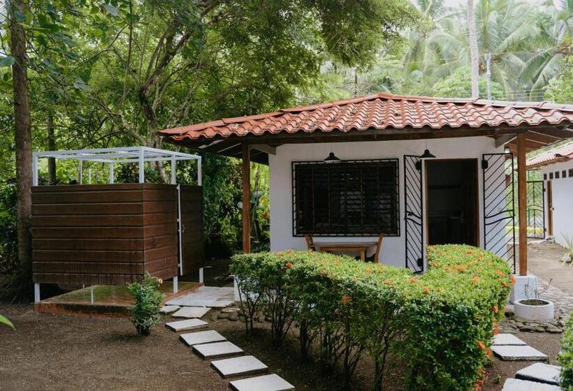 标准平房, Dreamy Contentment