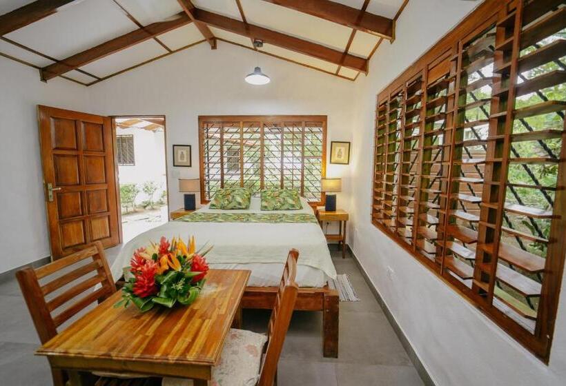 标准平房, Dreamy Contentment