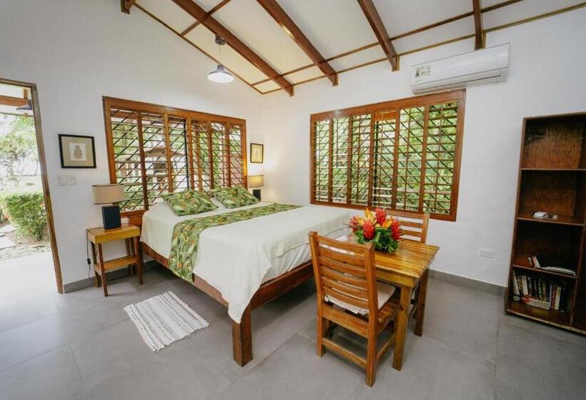 标准平房, Dreamy Contentment