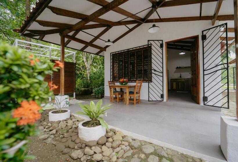 标准平房, Dreamy Contentment