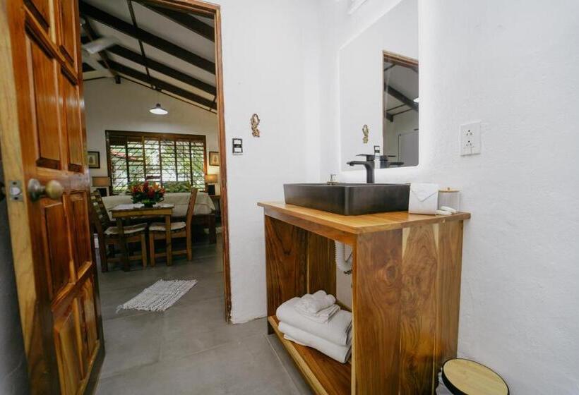 标准平房, Dreamy Contentment