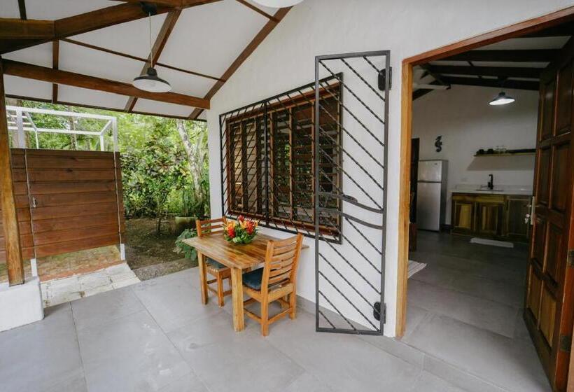 标准平房, Dreamy Contentment