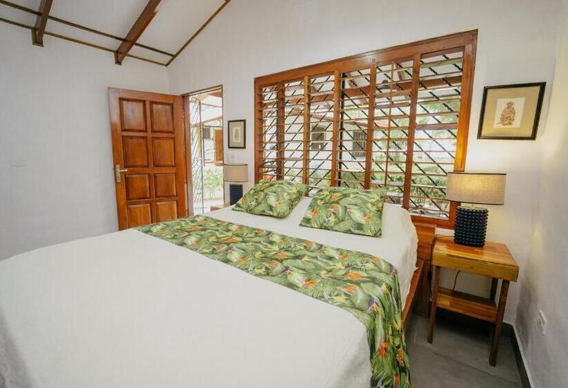 标准平房, Dreamy Contentment