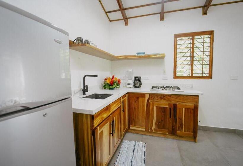 标准平房, Dreamy Contentment