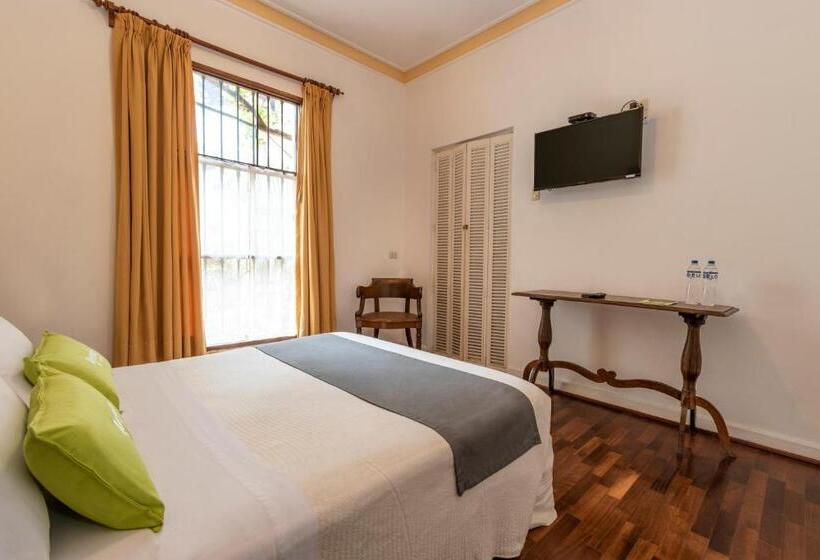 جناح, El Patio Miraflores