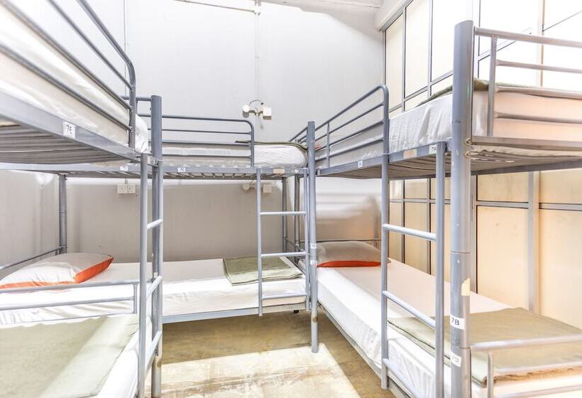 تختخواب در اتاق مشترک, City Backpackers   Hostel