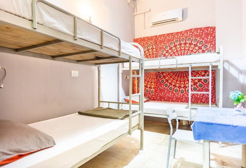 اتاق استاندارد چهار تخته, City Backpackers   Hostel