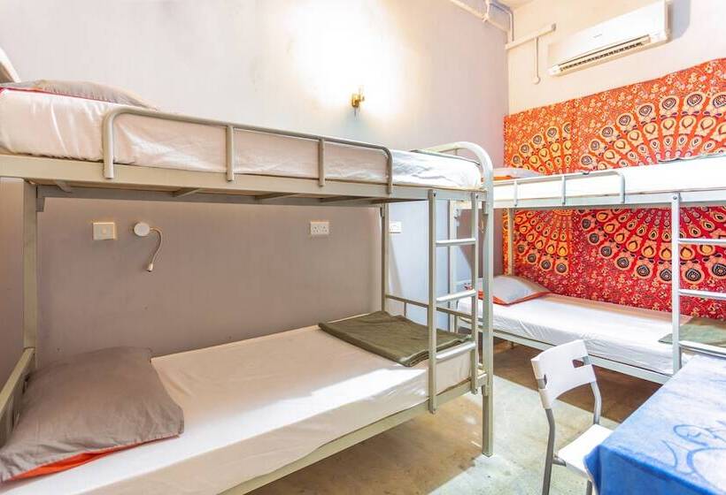 اتاق استاندارد چهار تخته, City Backpackers   Hostel