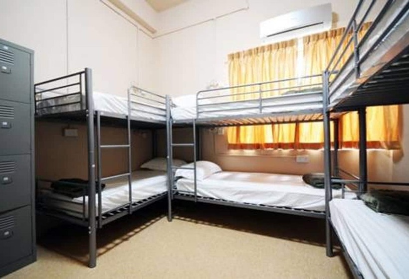 تختخواب در اتاق مشترک, City Backpackers   Hostel