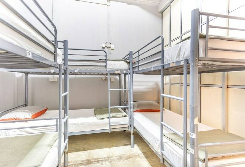 تختخواب در اتاق مشترک, City Backpackers   Hostel