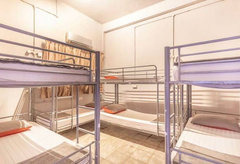 تختخواب در اتاق مشترک, City Backpackers   Hostel