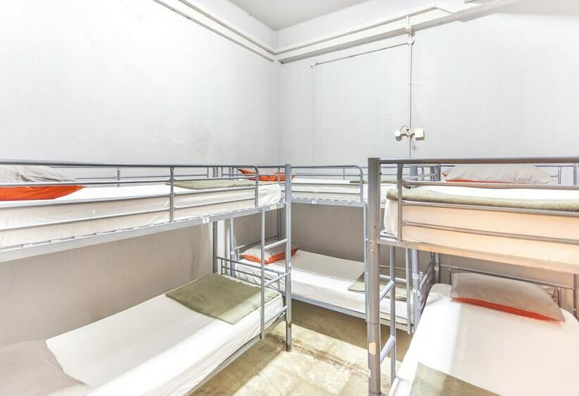 تختخواب در اتاق مشترک, City Backpackers   Hostel