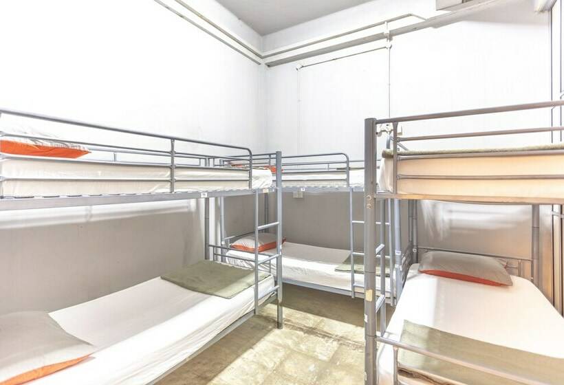 تختخواب در اتاق مشترک, City Backpackers   Hostel