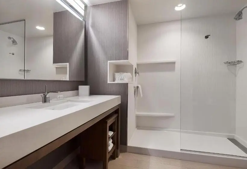 Standard-huone King-vuode, Courtyard By Marriott Ardmore