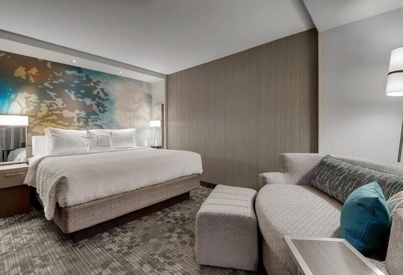 장애인을 위한 킹사이즈 침대 스탠다드 룸, Courtyard By Marriott Ardmore